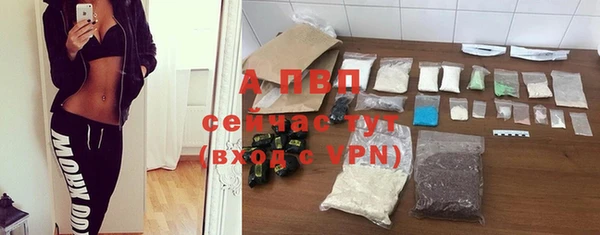 метадон Елизово