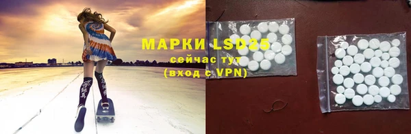 ECSTASY Ельня