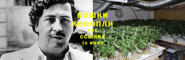 ECSTASY Ельня