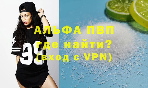 ECSTASY Ельня