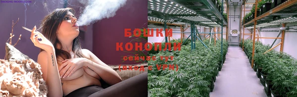 ECSTASY Ельня