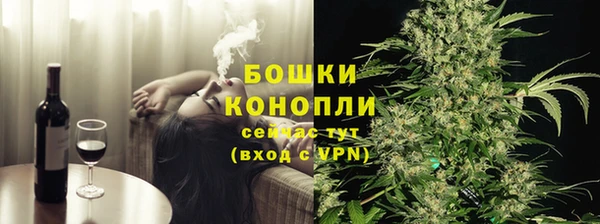 ECSTASY Ельня