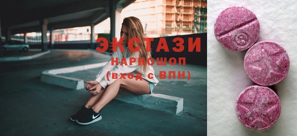 ECSTASY Ельня