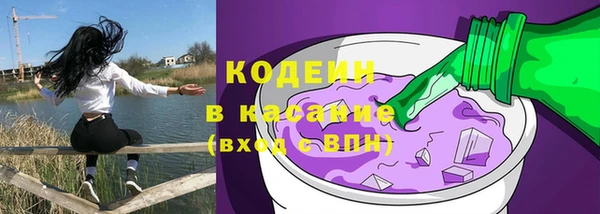 ECSTASY Ельня